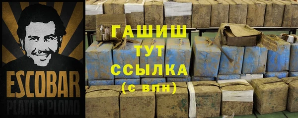 мдпв Магас